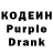 Кодеиновый сироп Lean Purple Drank Sal Rodriguez