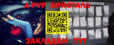 дурь Кингисепп