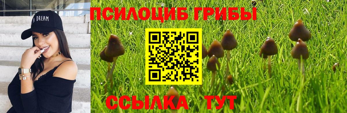 Галлюциногенные грибы мицелий Павловский Посад
